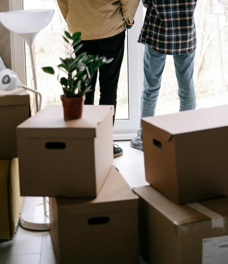 House Moving Box